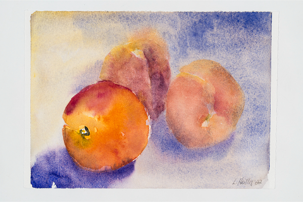 Blue and Peach, Watercolour on Saunders Waterford, 9x6.5 in.